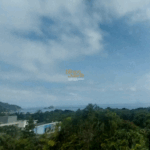 vista (1)
