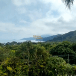 vista (3)